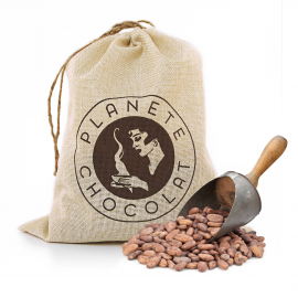 Cocoa beans - organic