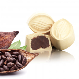 Ganache mit Kakao und weißer Schokolade (ref.41)