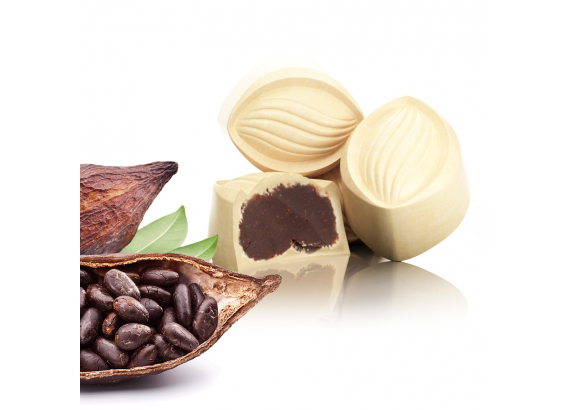 Ganache de cacao blanco (ref. 41)