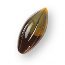 Praline Gianduja à la pistache concassée d’Iran